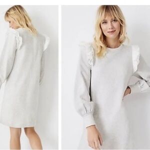 Ann Taylor Light Gray Dress with Ruffle Accents
